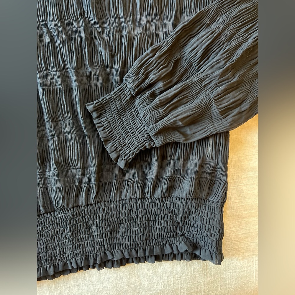See Through Ruffle Blouse - Picture 3 of 4